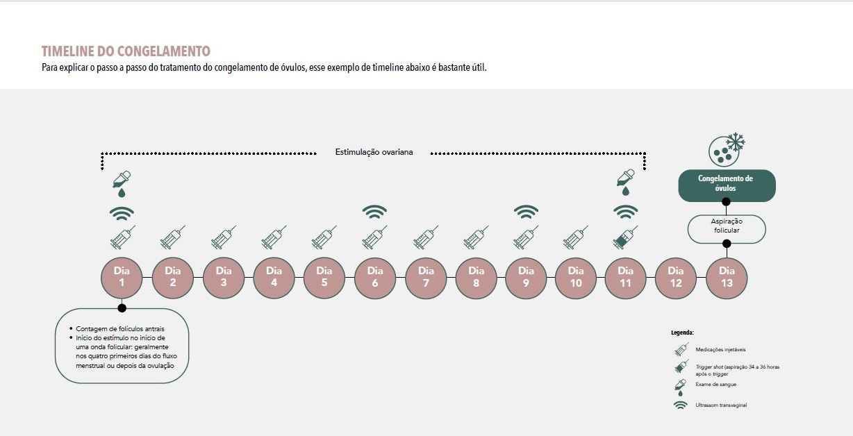 Passo a Passo do Congelamento de Óvulos