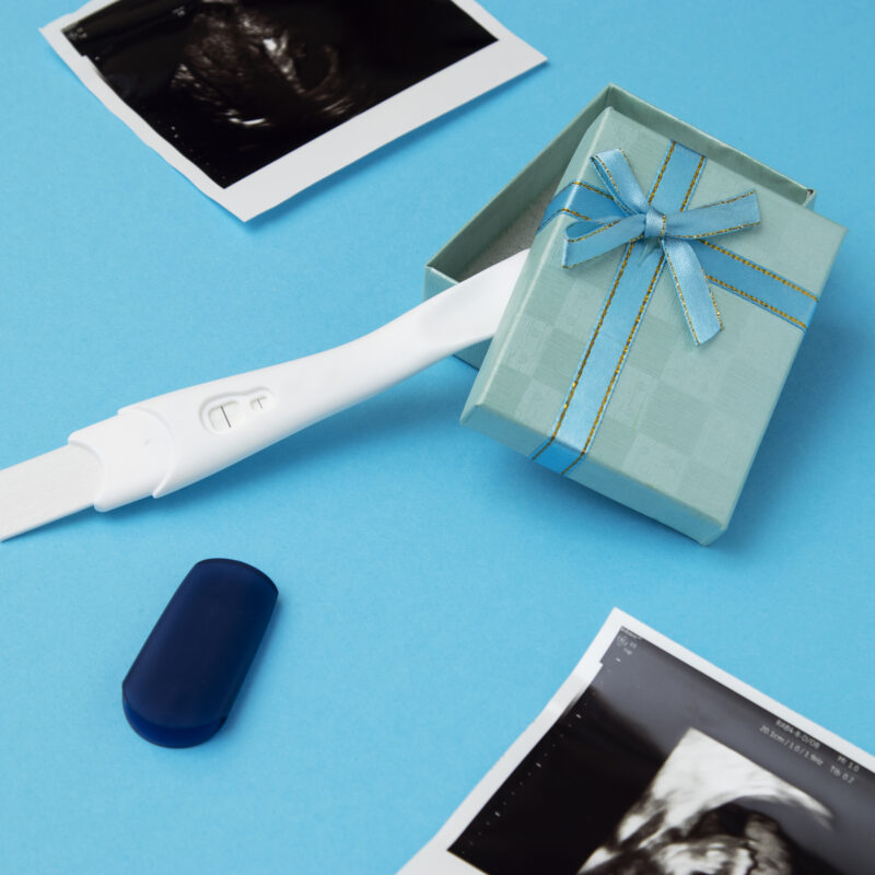 congelamento de embriões